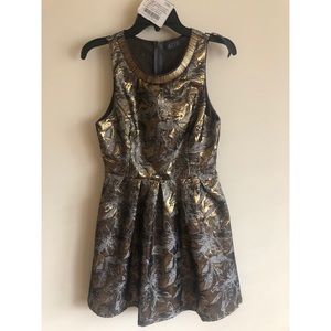 Metallic Skater dress